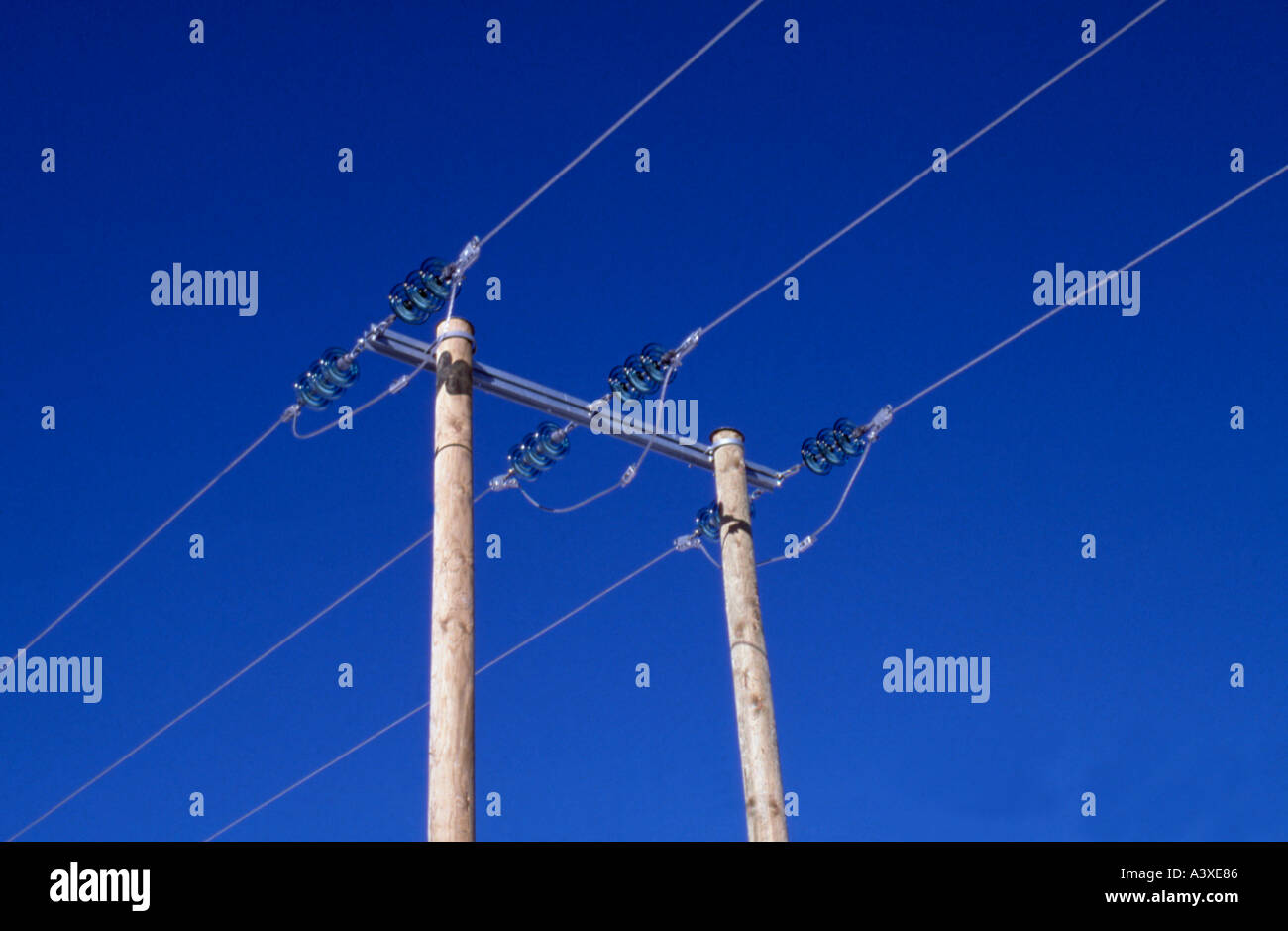 Elektrische Kraftübertragung; Strom-Hochspannungskabel, Glas-Isolatoren, Holz & verzinkten Stahlpylone, ländlichen England Stockfoto