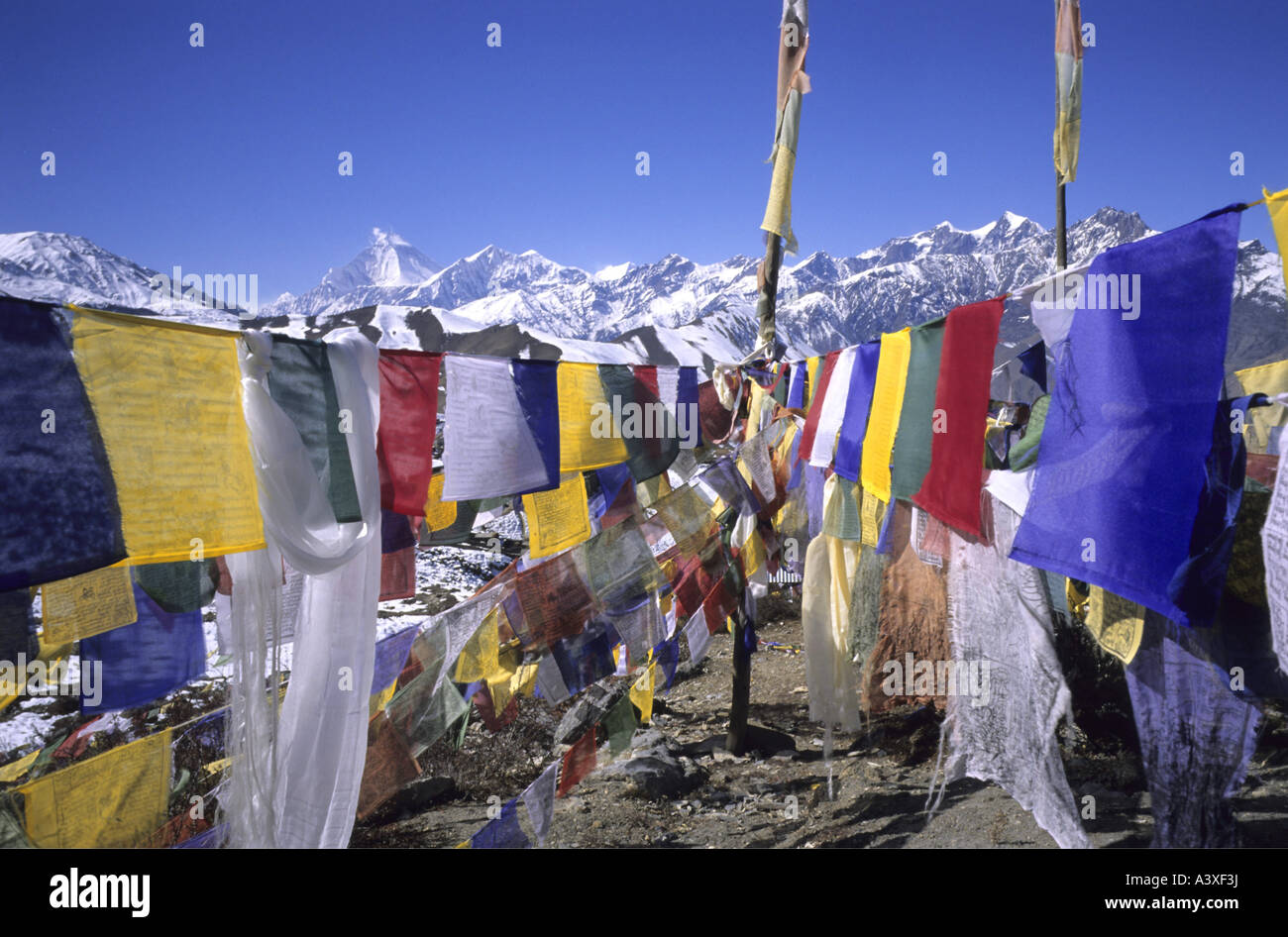 Geographie / Reisen, Nepal, Religion, Gebetsfahnen in Muktinath, Mustand Bezirk, Himalaya, Asien, Himal, Annapurna Region, begründeten Stockfoto
