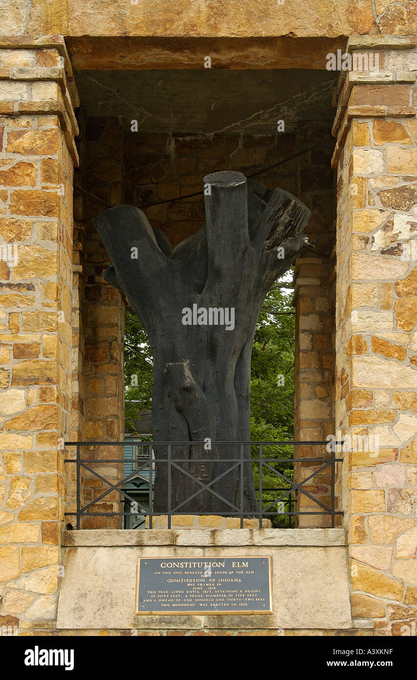 Verfassung Elm Corydon Indiana Stockfoto