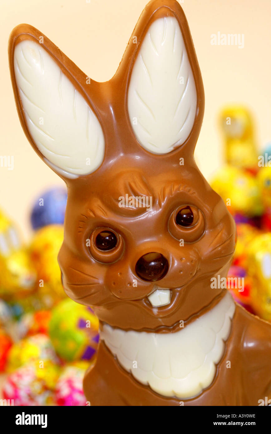 Osterhase aus Schokolade gemacht Stockfoto