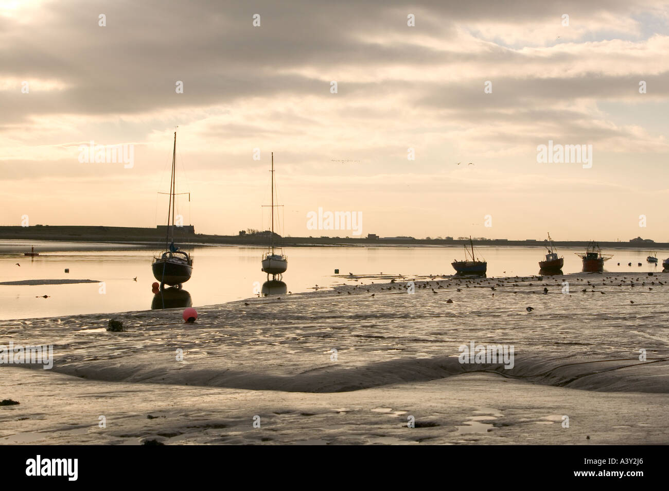 Segelboote und Kiebitze auf inter Schlamm Wattflächen bei Sunderland Point, Lune-Mündung, Lancashire, UK Stockfoto