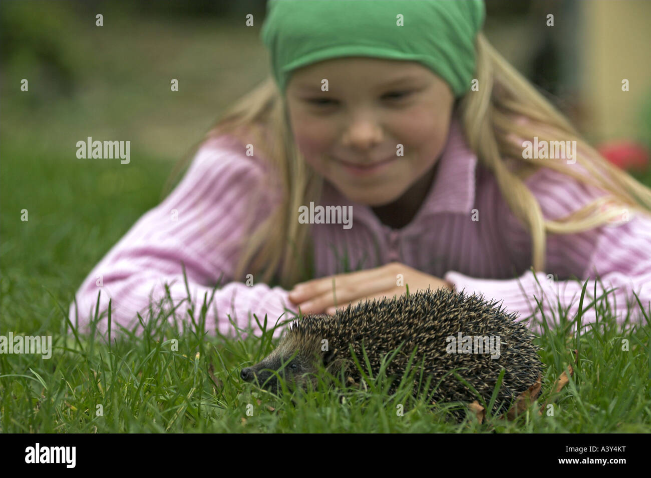 westlichen Igel, Europäische Igel (Erinaceus Europaeus), Mädchen beobachten einen Igel im Garten Stockfoto