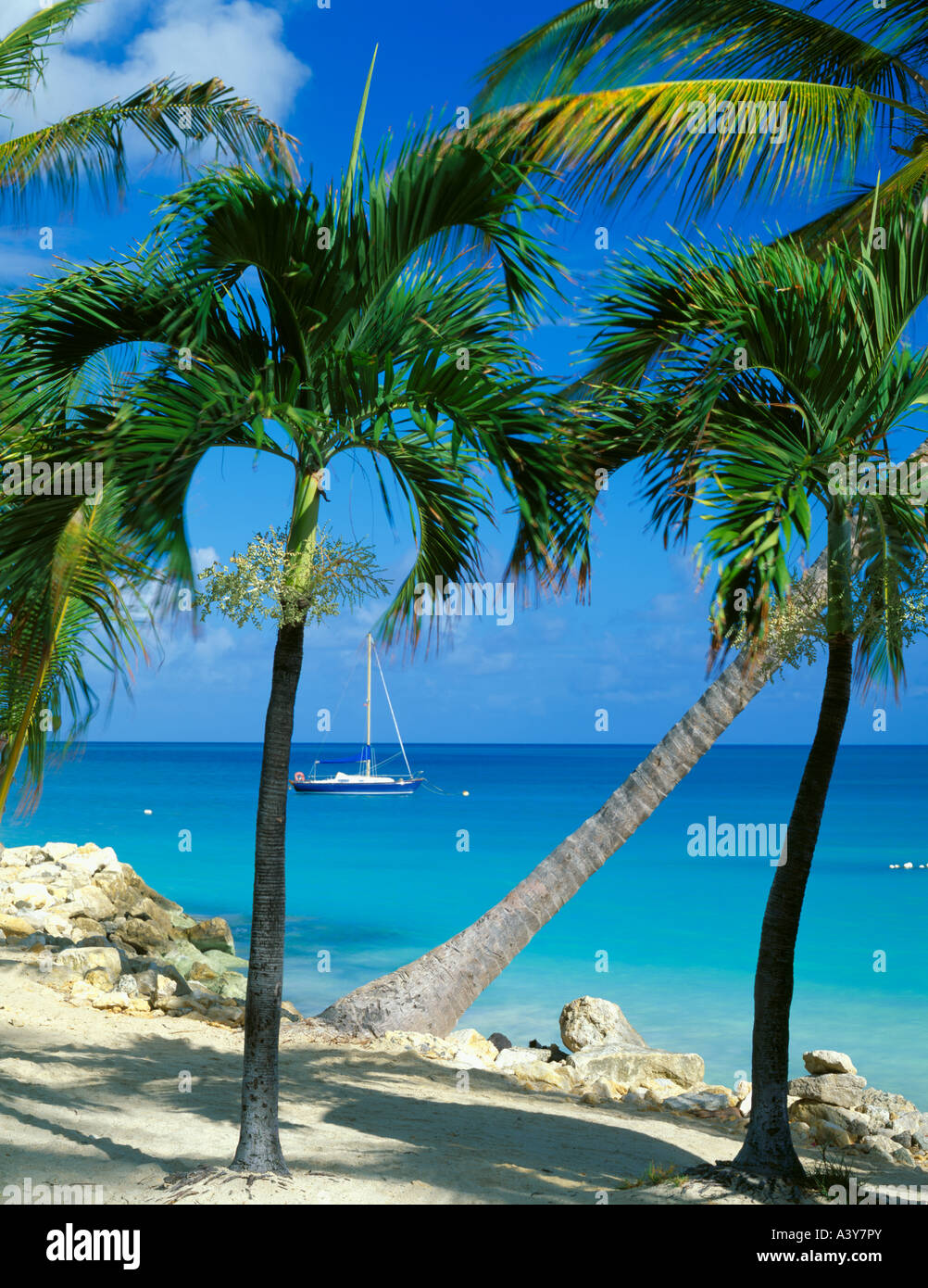 Antigua-West Indies-Palmen Rahmen einen Blick auf das blaue Wasser des Dickinson Bay Karibische Inseln Stockfoto