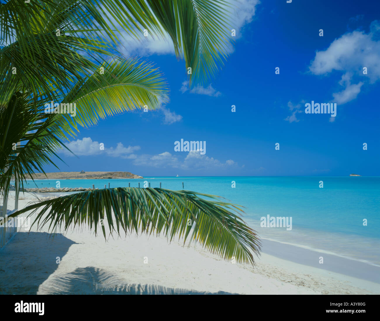Antigua-West Indies-Palmwedel erstrecken sich über den weißen Sandstrand an der Bucht von Dickinson Stockfoto