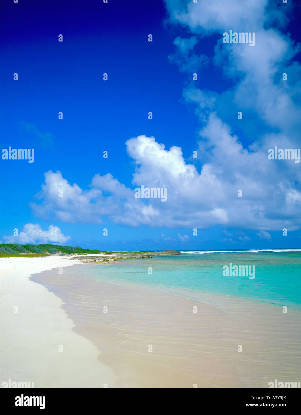 Anguilla, British West Indies: Einen langen weißen Sandstrand und dem türkisfarbenen Wasser der Karibik von Savannah Bay Stockfoto