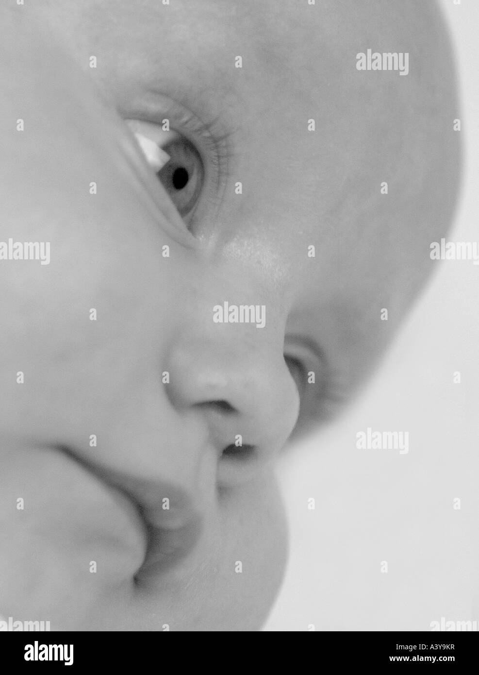 Menschen, Menschen, Menschen (Homo Sapiens Sapiens), Baby, portrait Stockfoto