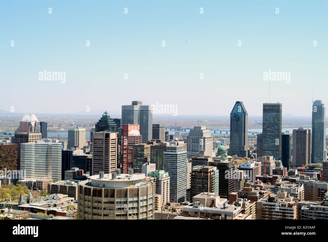 Die Innenstadt von Montreal-Skyline-Blick vom Mount Royal Montreal Kanada Nordamerika Stockfoto