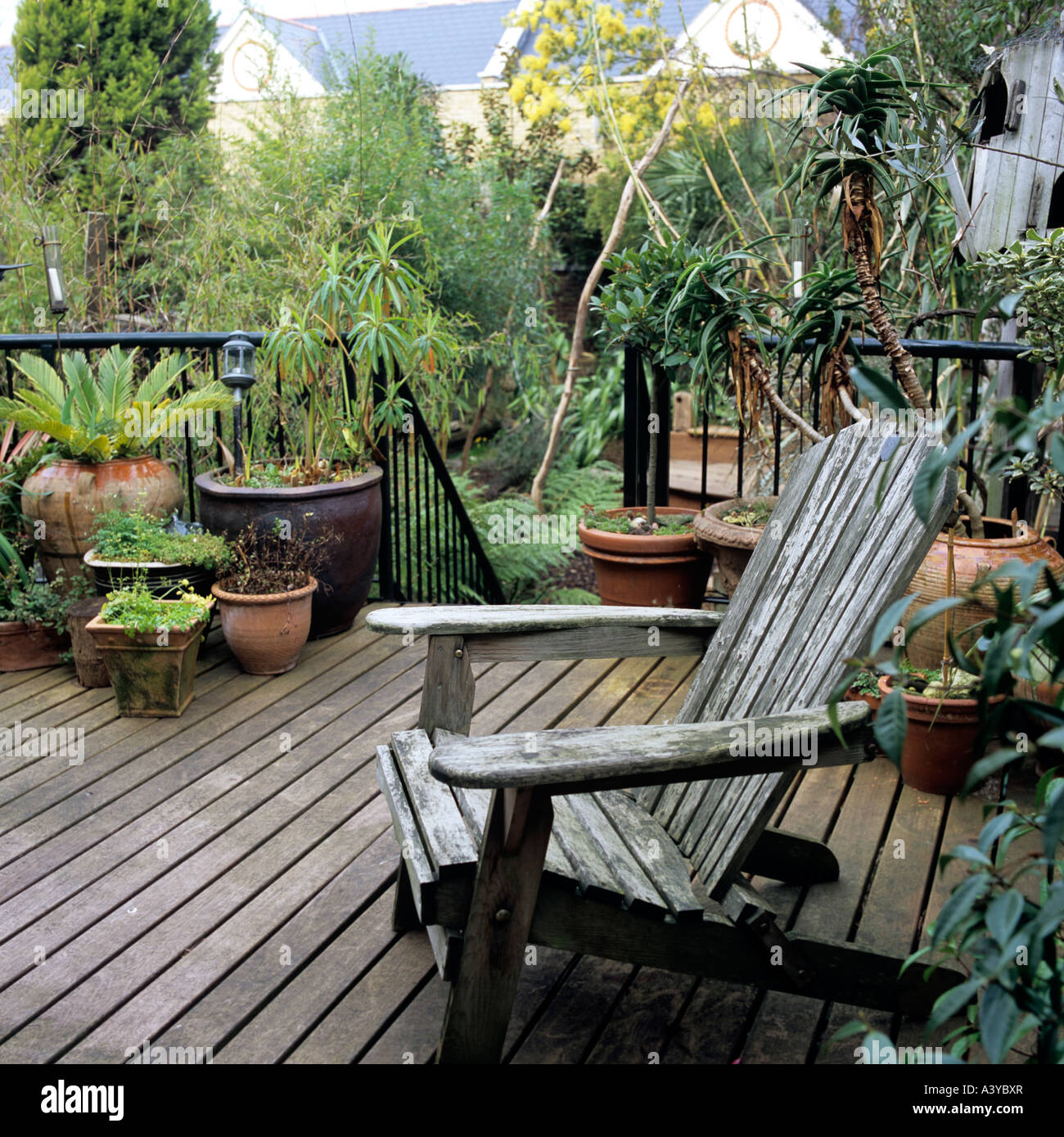 Topfpflanzen und einen alten Garten Sessel auf decking in einem London-Garten Stockfoto