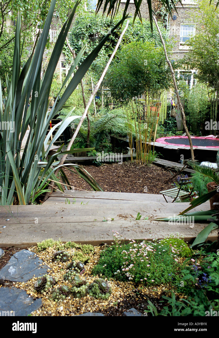 Decking und subtropischen Pflanzen in einem Garten London Stockfoto