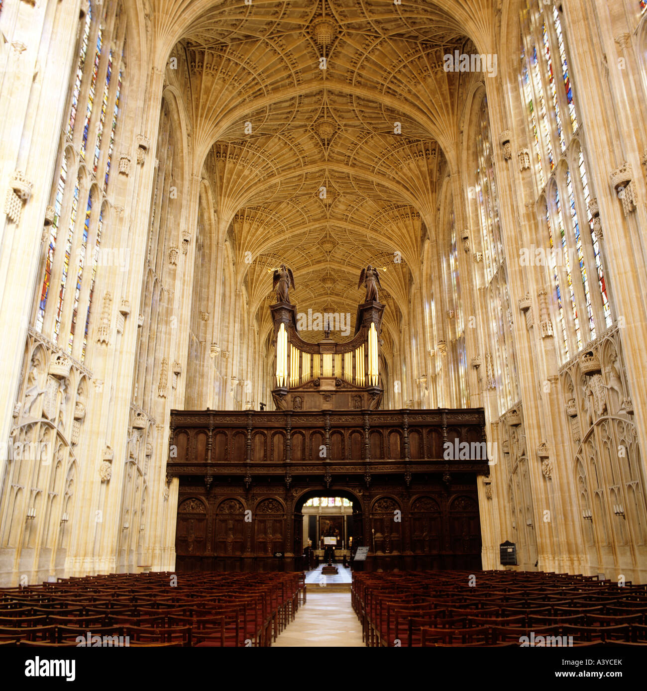 Kings College Kapelle Cambridge, Ansicht des Innenraums mit Fan-gewölbte Decke und Orgelempore Stockfoto