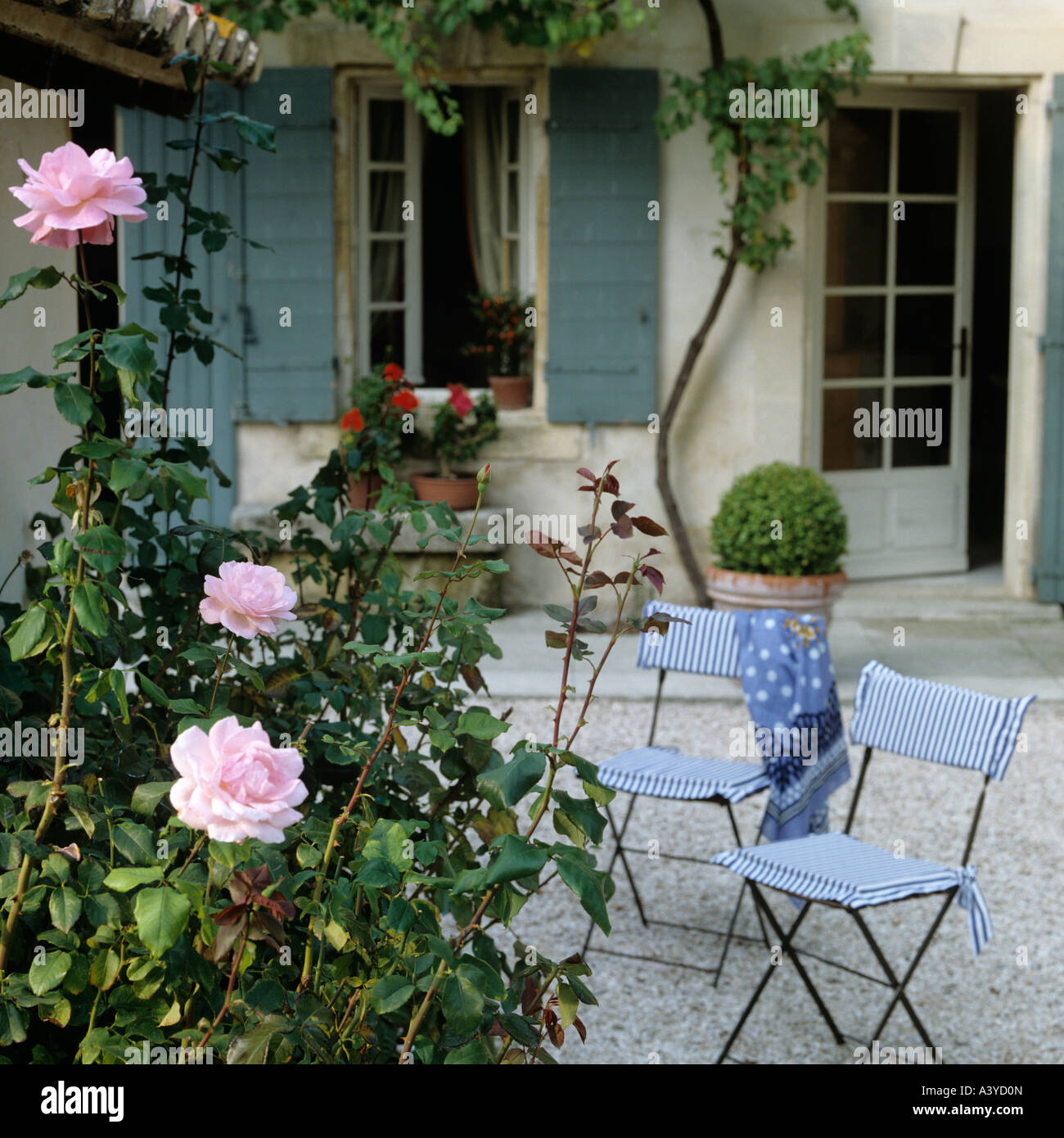Innenhof mit Rosen und Stühlen in einem typisch provenzalischen Haus Stockfoto