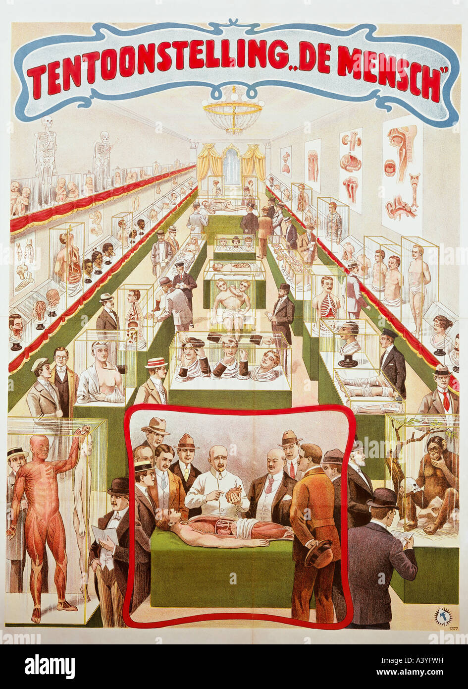 Festlichkeit, Messen, carny, 'Tentoonstelling de Mensch', anatomischer Wachsschrank, Poster, Farblithograph, Druck von Adolph Friedländer, Hamburg, 1923, Stockfoto