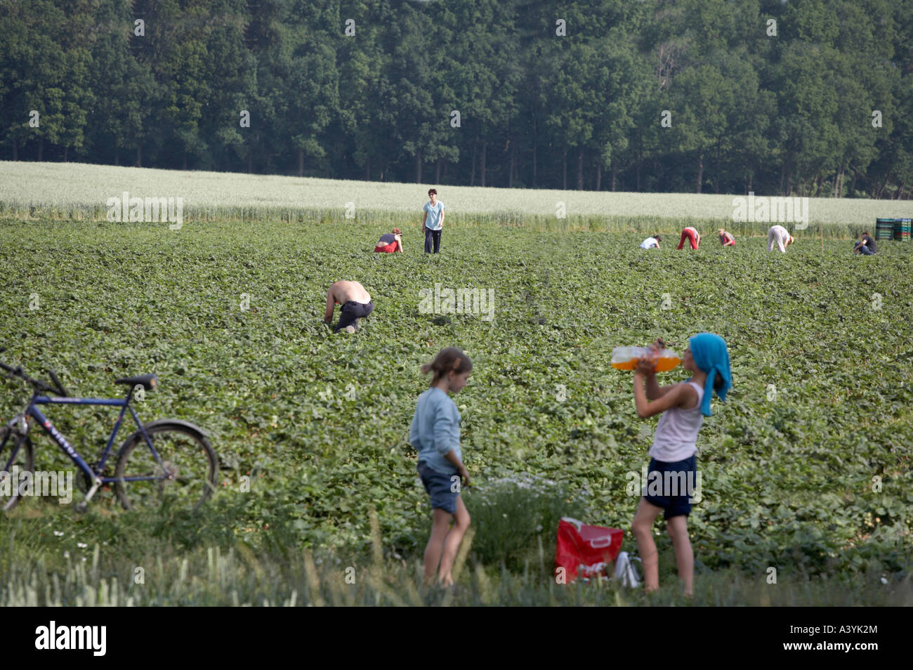 Zwei junge Mädchen sind eine Auszeit von der Ernte einer Ernteguts Stockfoto
