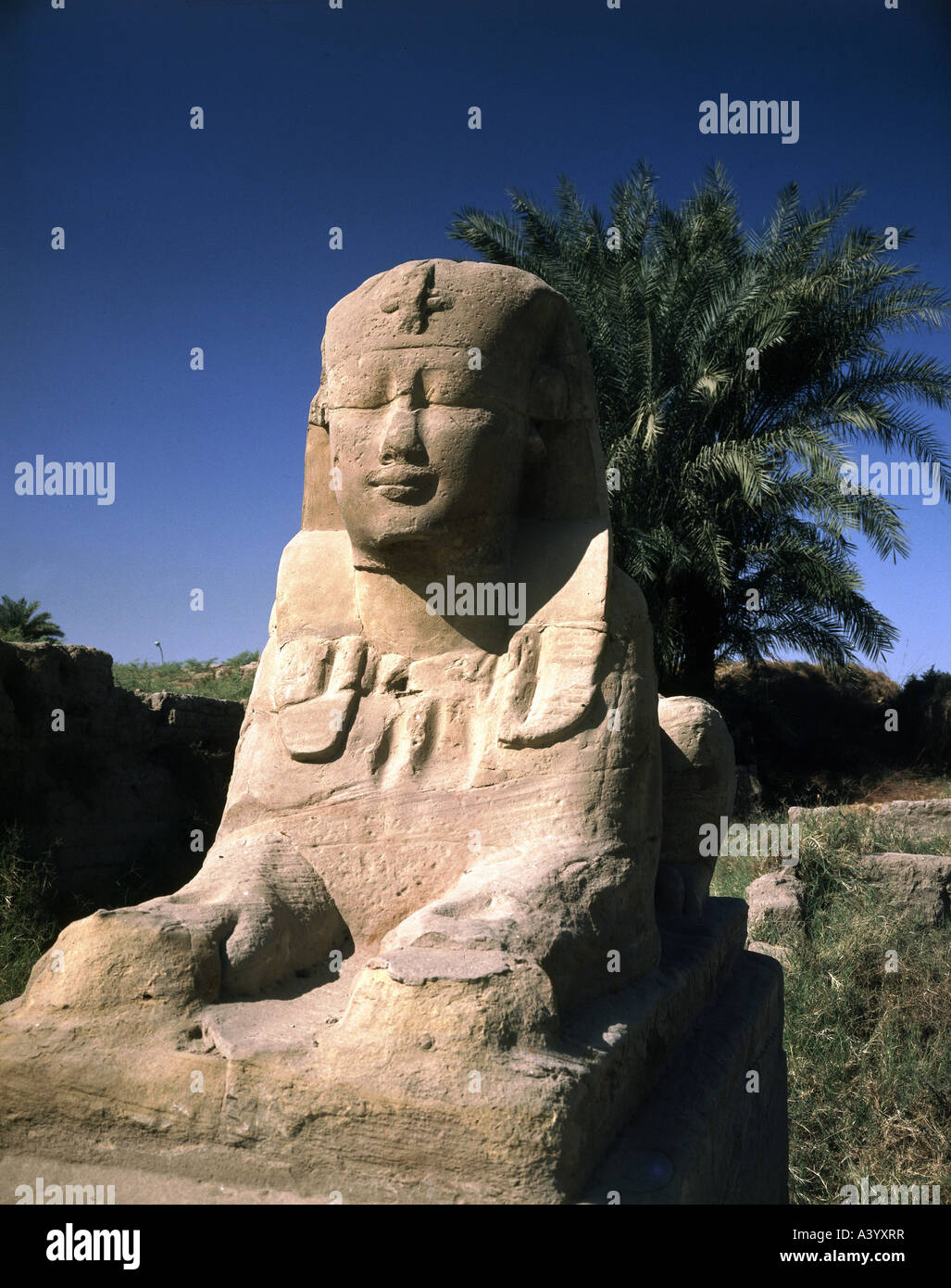 Reise/Geographie, Ägypten, Luxor, Gebäude, Tempel, gottloesische Familie Amun, Mut, Chons, Außenansicht, Sphinx-Allee, die zur Tempelfront führt, mit Pylon von Ramesses II, gespendet von pharao Nektanebo I, 380 - 343 v. Chr., historisch, historisch, Afrika, Architektur, Tempel, alte Welt, Neues Königreich, 30. Jahrhundert v. Chr., Skulpturen, Skulpturen, Skulpturen, Skulpturen, Skulpturen, Skulpturen, Skulpturen Alte Welt, Stockfoto