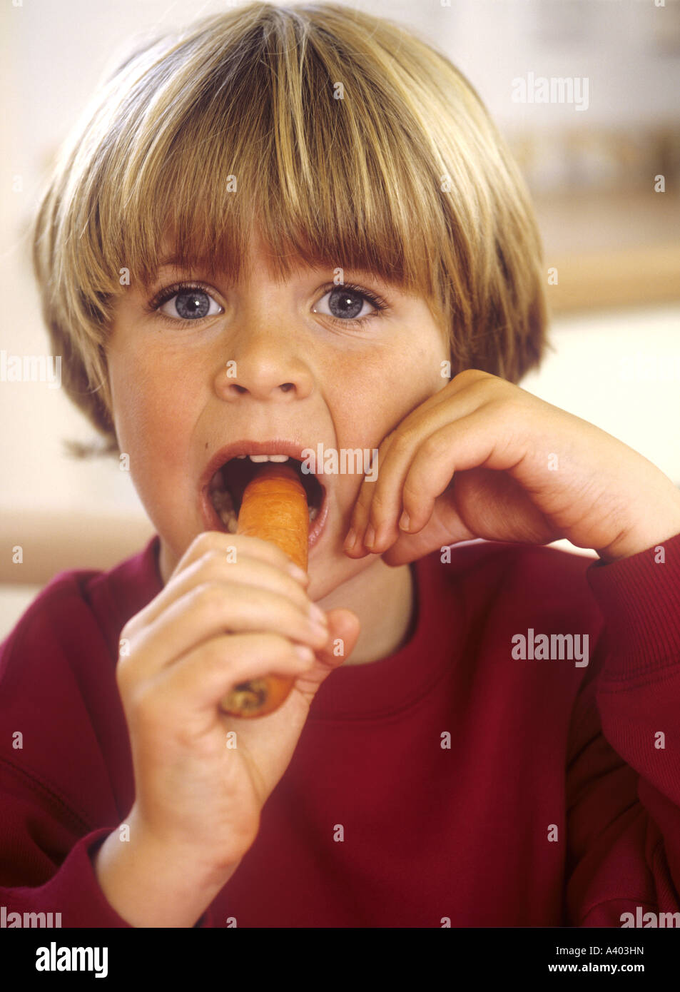 Kleiner Junge sitzt in einer Küche zum Anbeißen aus einer Karotte Stockfoto