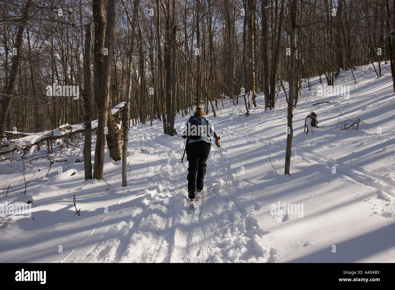 Eine Frau Langlauf Stockfoto