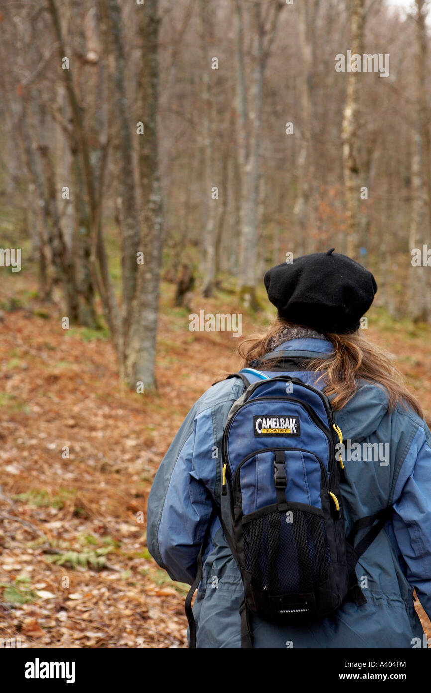 Frau im Wald wandern Stockfoto