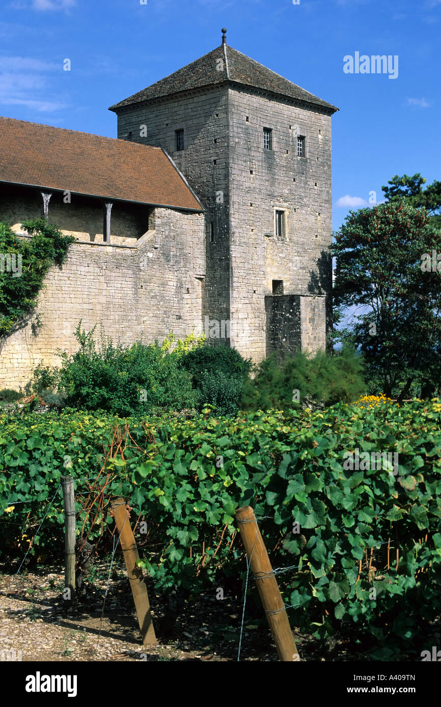 Frankreich Burgund GEVREY-CHAMBERTIN WEINBERG UND Schloss aus dem 10. Jahrhundert EUROPA Stockfoto