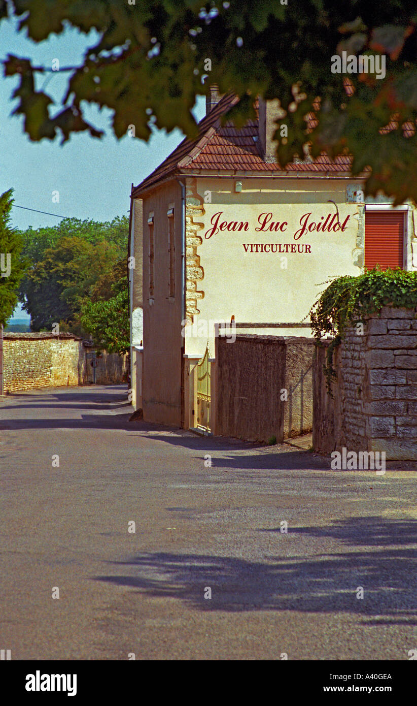 Jean Luc Joillot, ein bekannter Winzer in Pommard, Bourgogne Stockfoto