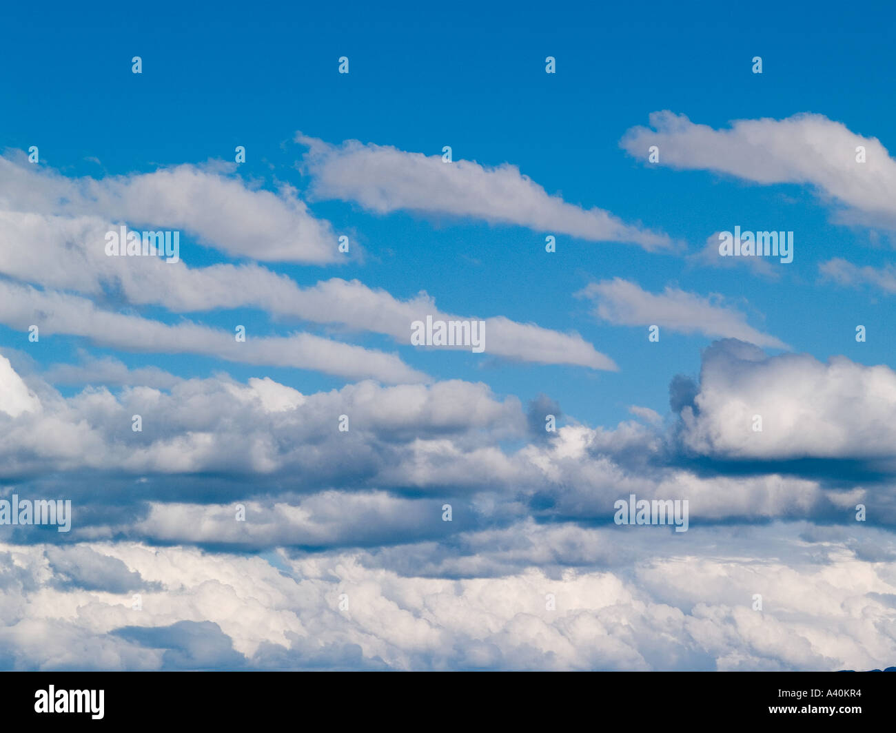 Weißen flauschigen Cumulus-Wolken sammeln in einem blauen Sommerhimmel Stockfoto