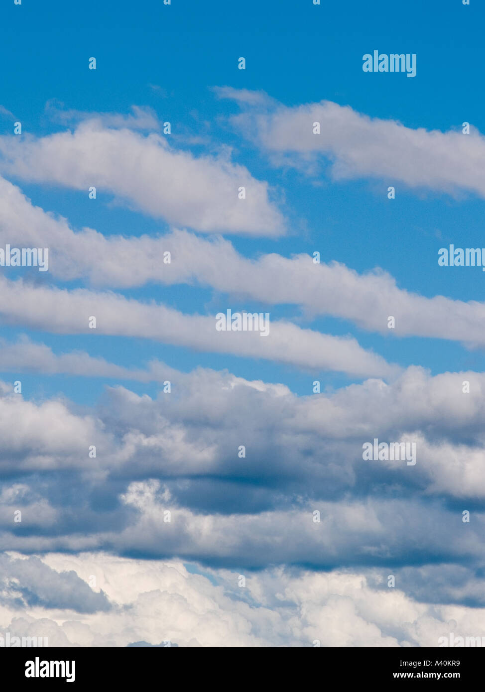 Weißen flauschigen Cumulus-Wolken sammeln in einem blauen Sommerhimmel Stockfoto