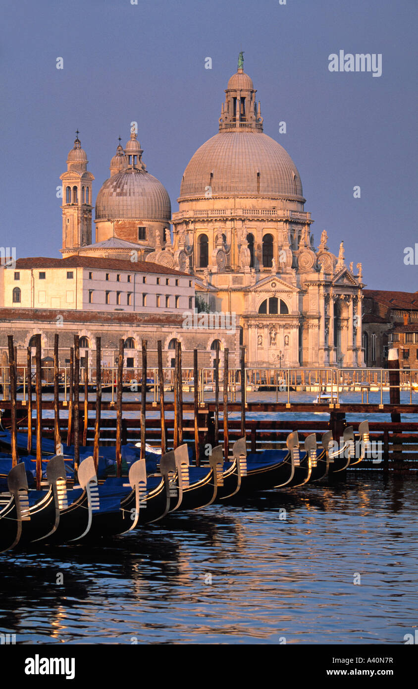 Santa Maria Della Salute Grand Canal Venedig Italien Stockfoto