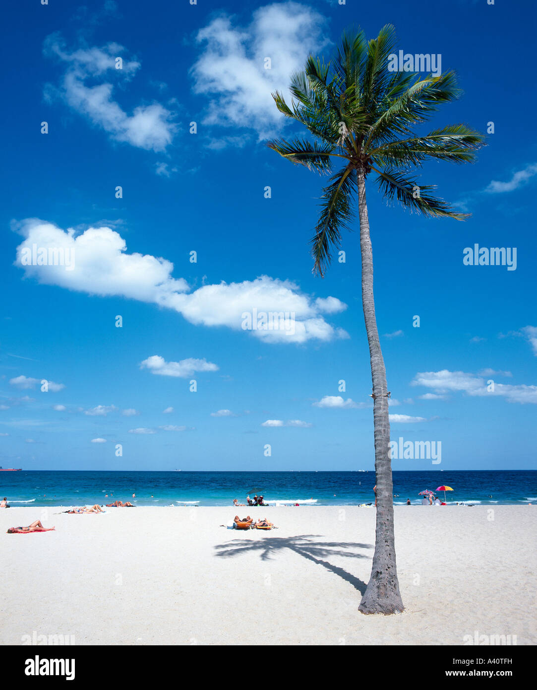 Strand von Fort Lauderdale Fort Lauderdale Florida USA Stockfoto