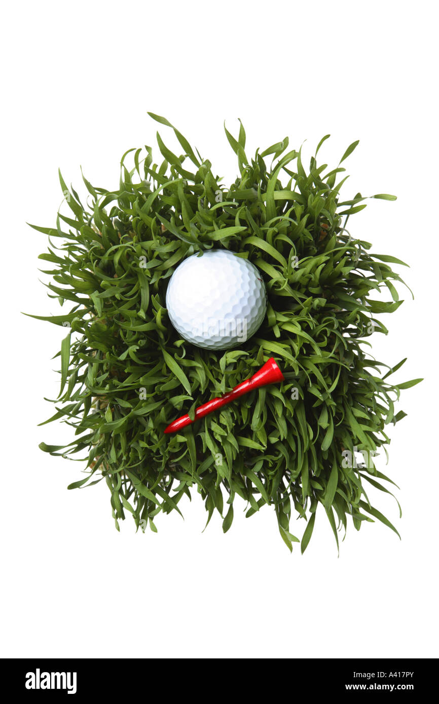 Golfball und Abschlag auf dem Rasen Stockfoto