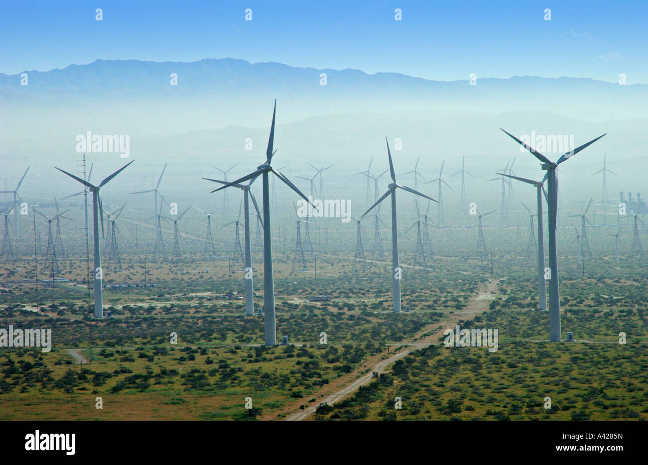 Windmühlen in San Gorgonio Mountain pass in der Nähe von Palm Springs, Kalifornien, USA Stockfoto