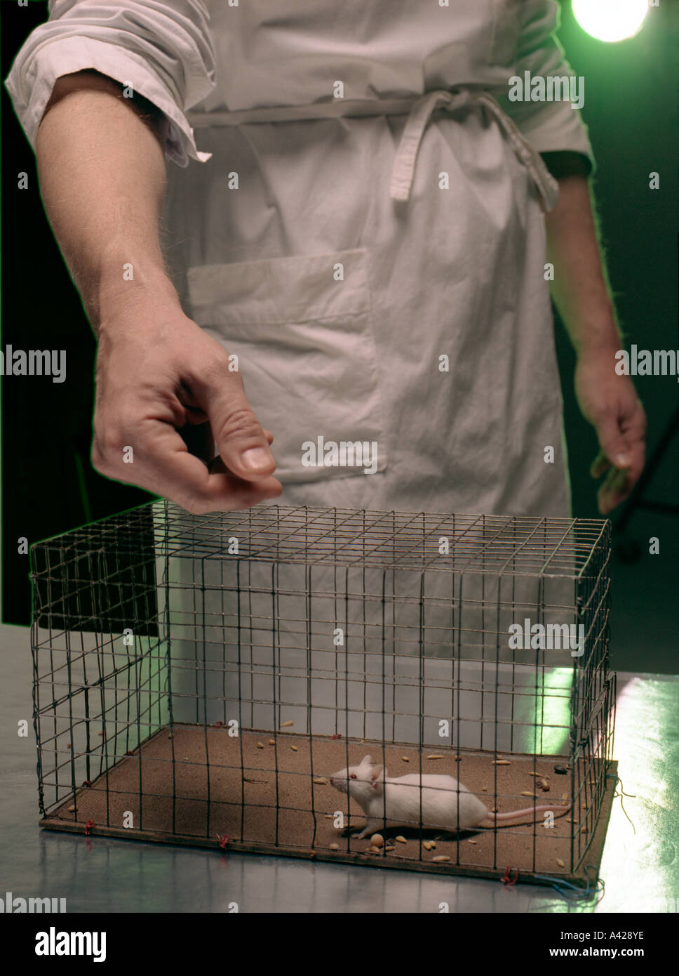 Bioethik (Experiment) Stockfoto