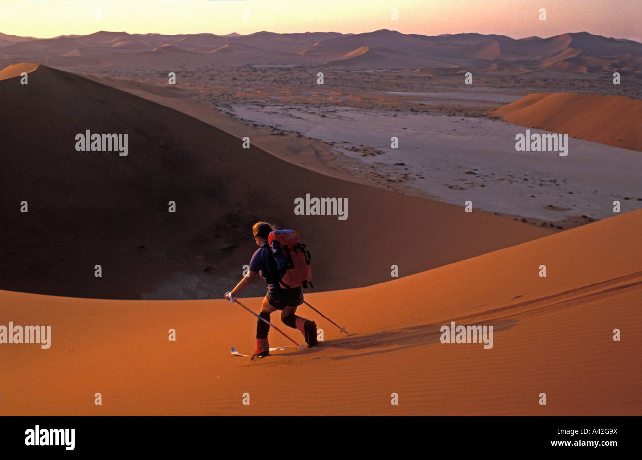 Telemark Descente Big Daddy Düne in der namibischen Wüste vom Skifahrer Vaila Macdonald Stockfoto