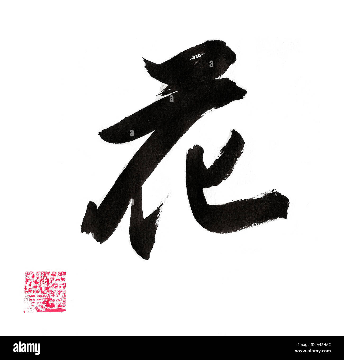 Bilder aus Schriftzeichen: Die Kunst der Schriftzeichen-Illustration