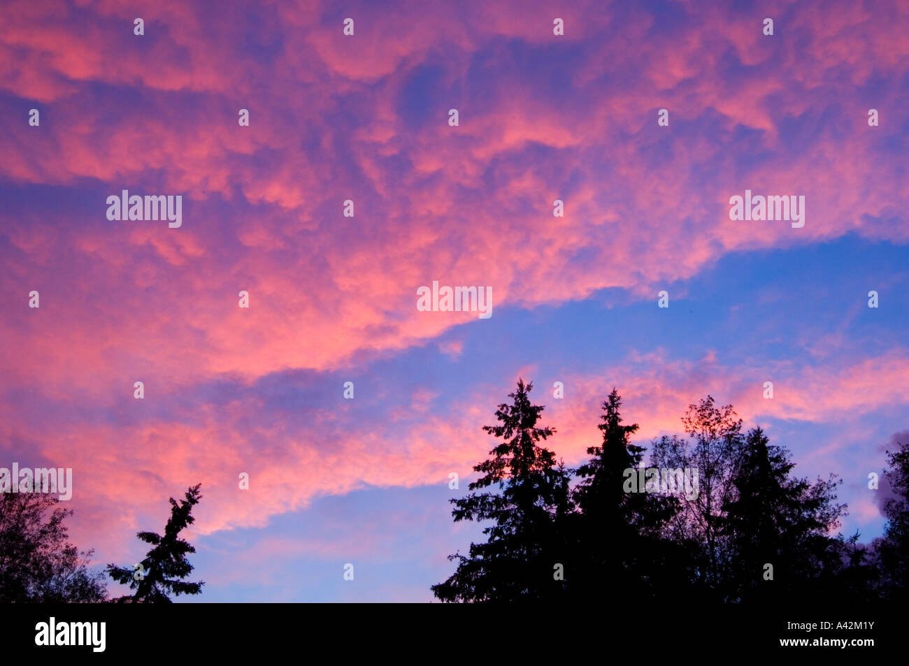 Abend Wolken mit Sonnenuntergang Licht reflektiert, Greater Sudbury, Ontario, Kanada Stockfoto
