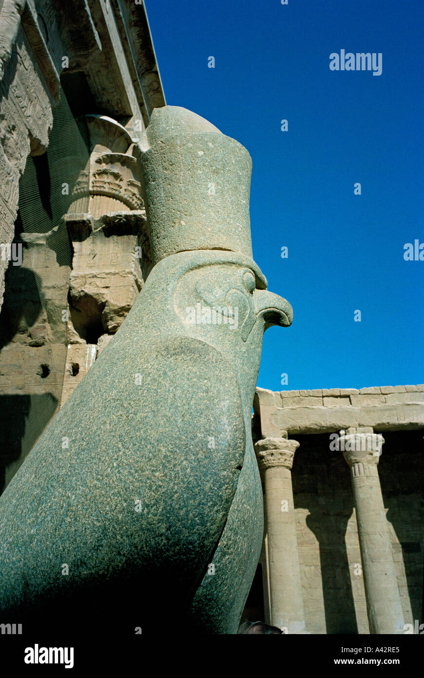 Statue des Gottes Horus Falke stehend vor seinem Tempel von Edfu auf dem Nil Stockfoto