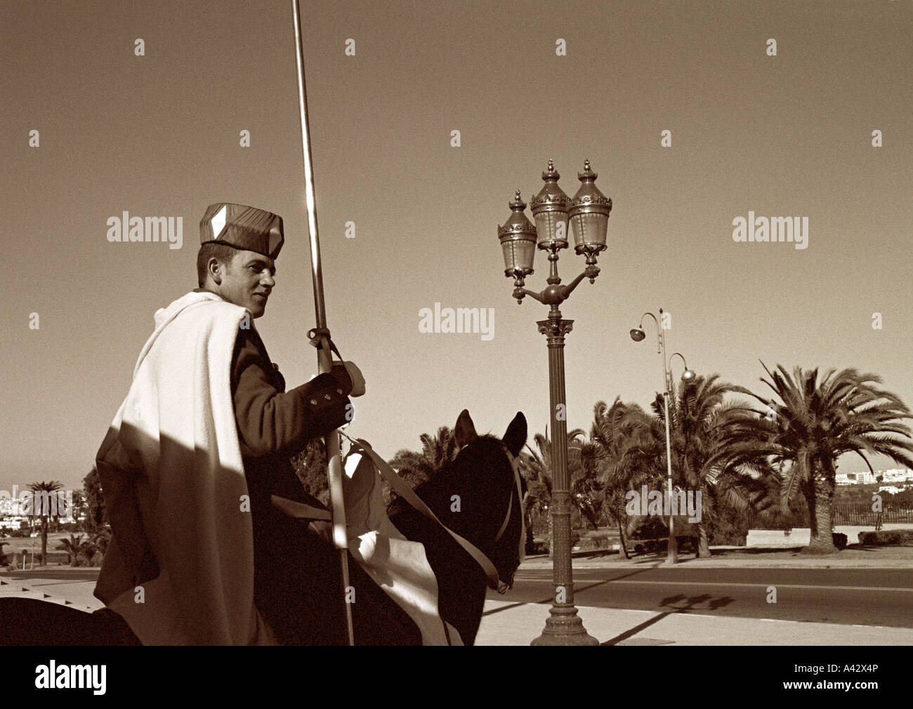 Pferd-Wache vor dem Königspalast in Rabat Marokko Stockfoto