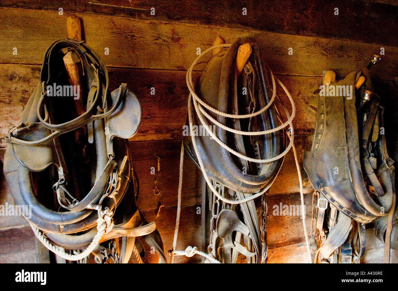 Steigbügel hängen an der Wand auf der LBJ Ranch in der Nähe von Johnson City, TX Stockfoto
