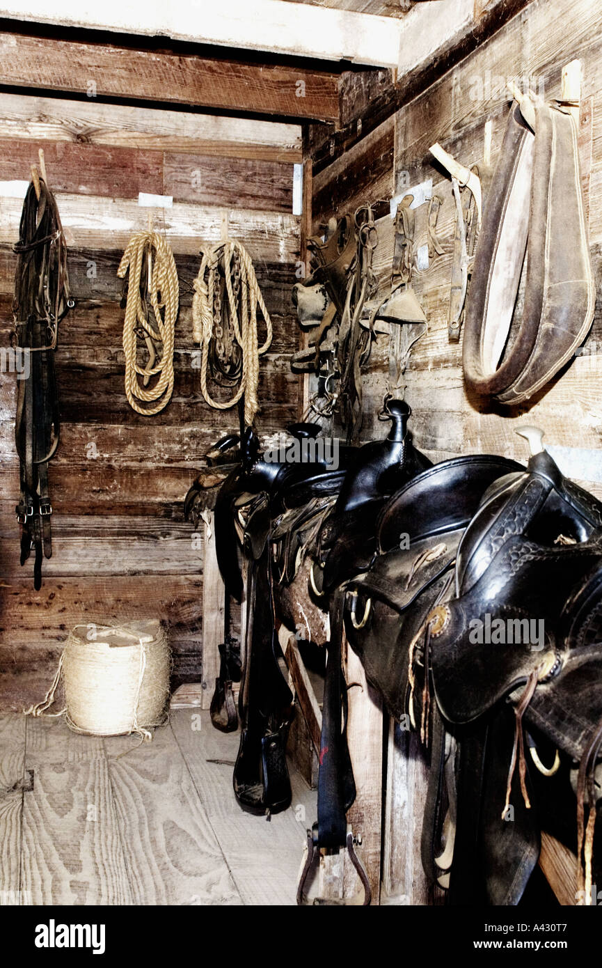 Sättel, hängt an der Wand auf der LBJ Ranch in der Nähe von Johnson City, TX Stockfoto
