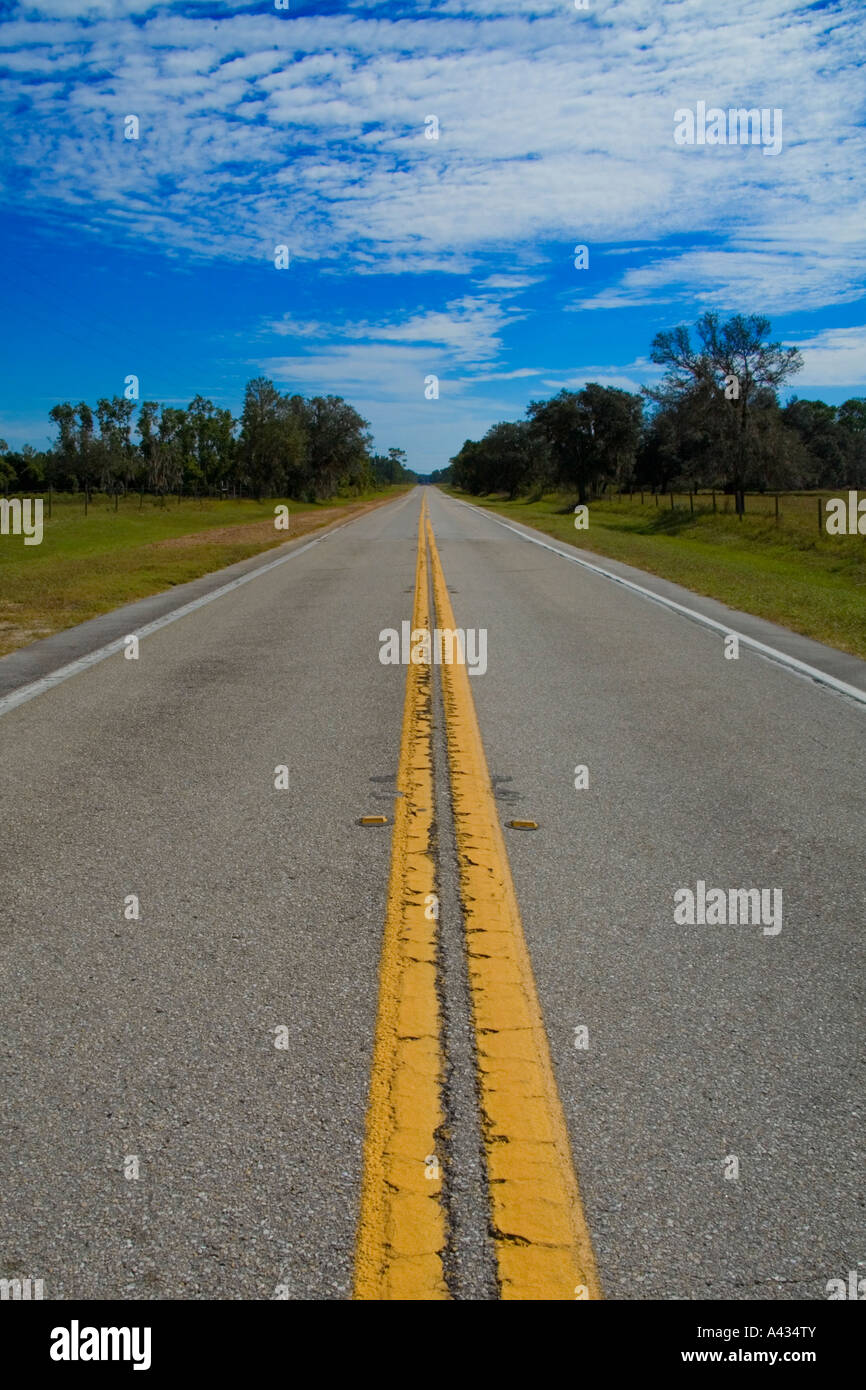 Im Herzen von Orange produzierende Land gerade Landstraße im Polk County, Florida, USA. Stockfoto