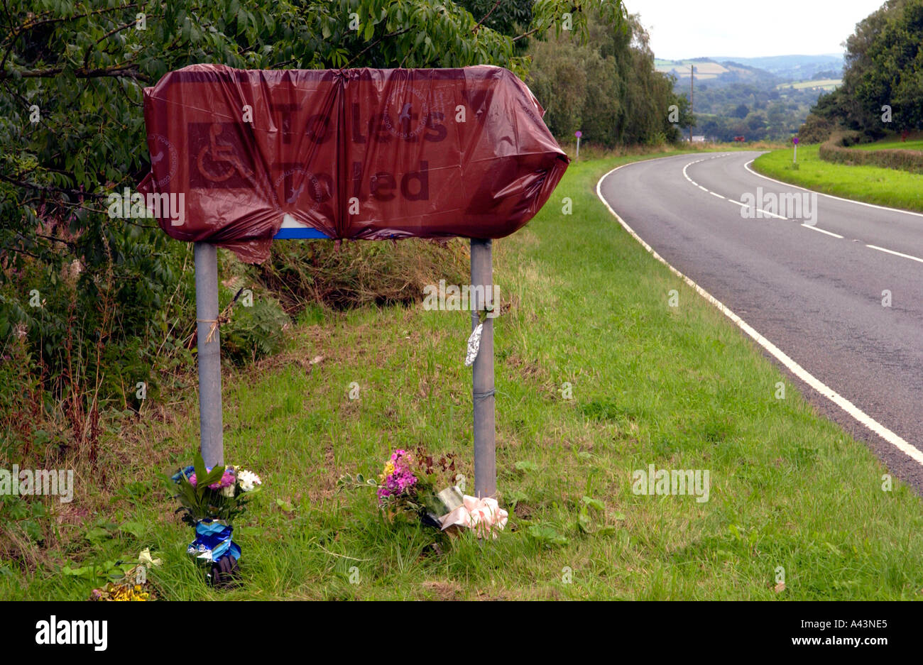 Blumen mit einzelnen Handschuh links am Tatort eines tödlichen Unfalls auf der A40 zwischen Bwlch und Brecon Powys South Wales UK Stockfoto