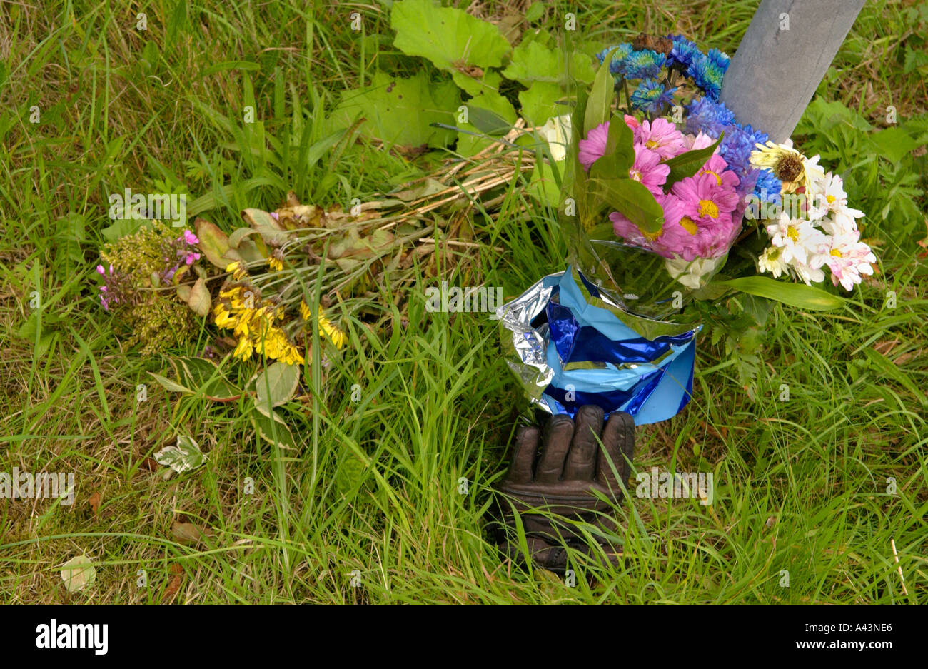 Blumen mit einzelnen Handschuh links am Tatort eines tödlichen Unfalls auf der A40 zwischen Bwlch und Brecon Powys South Wales UK Stockfoto