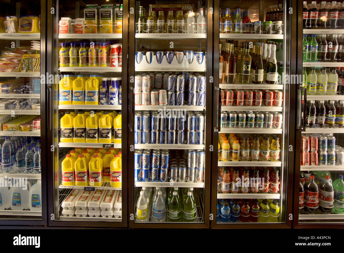 Lebensmittel im Kühlschrank Kühler Stockfoto