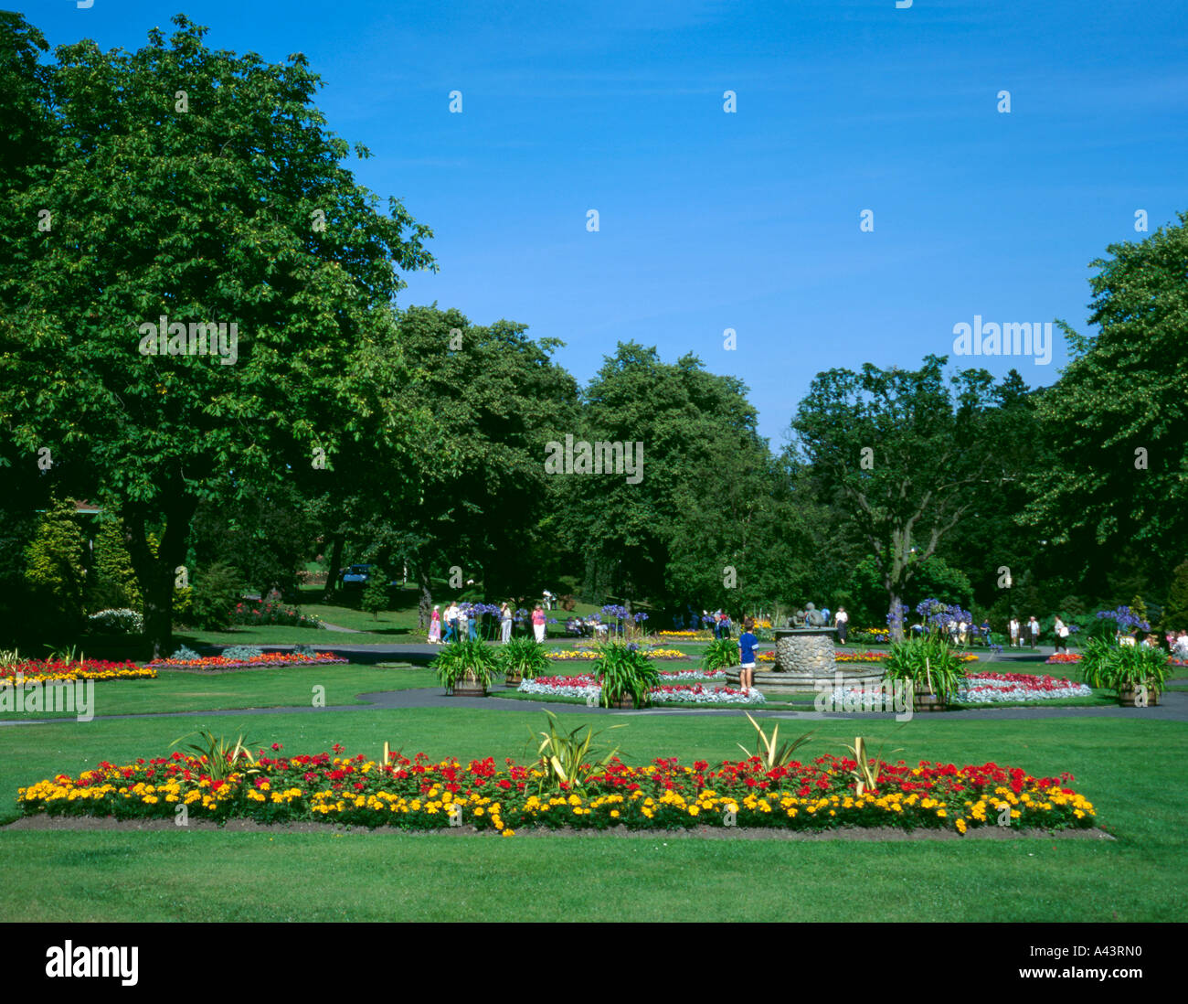 Blütenpracht, Valley Gardens, Harrogate, North Yorkshire, England, UK. Stockfoto