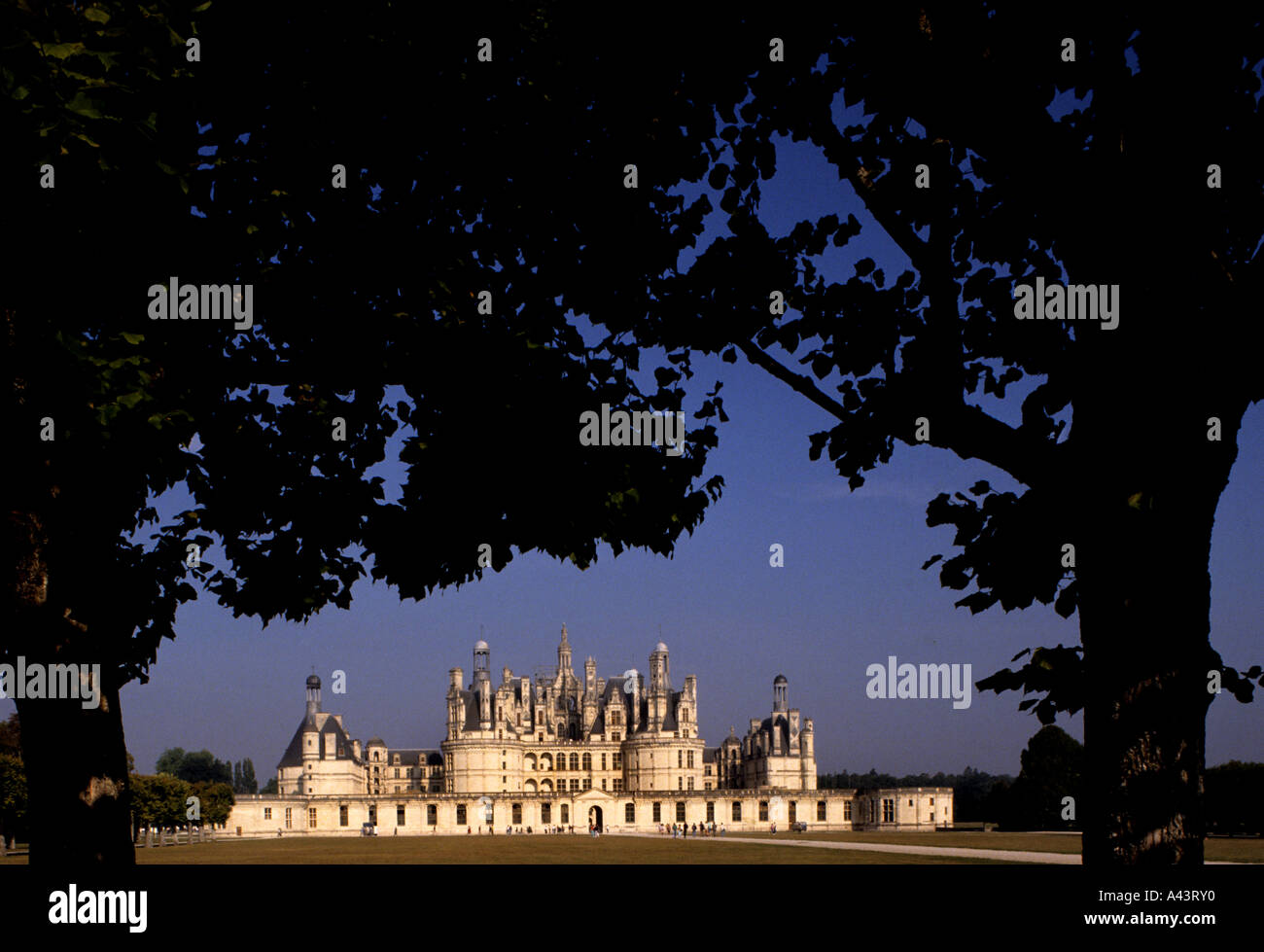 Chambord Französisch Schloss Loire Königsschloss Frankreich Stockfoto