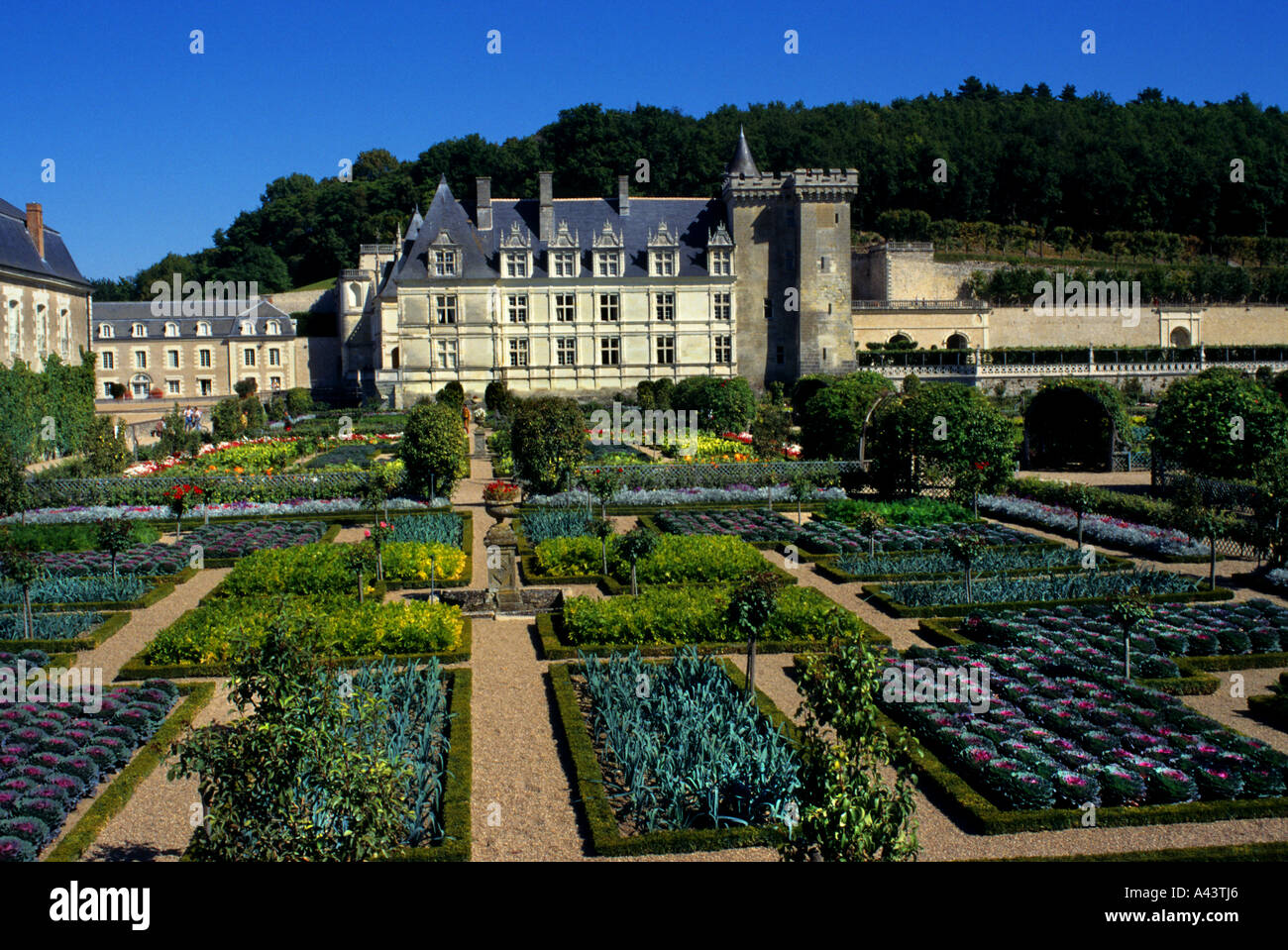 Chateau de Villandry Touraine Frankreich Garten Stockfoto