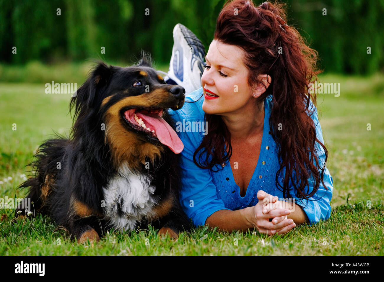 Haushund Mischling mit Eigentümer Modell veröffentlicht Stockfoto
