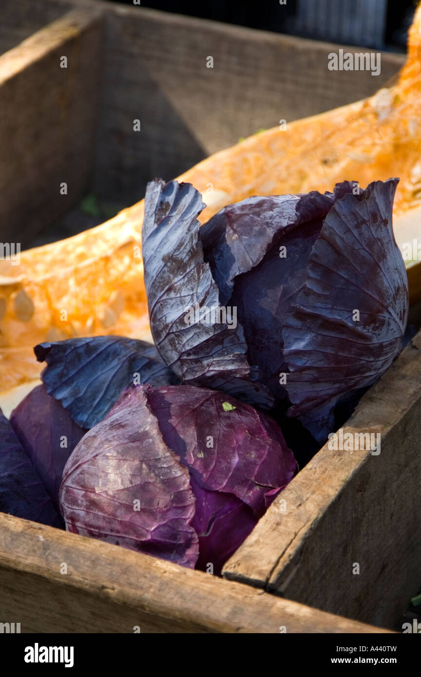 Frisches Gemüse für den Verkauf auf Feira De Barcelos in Minho. Portugal Stockfoto