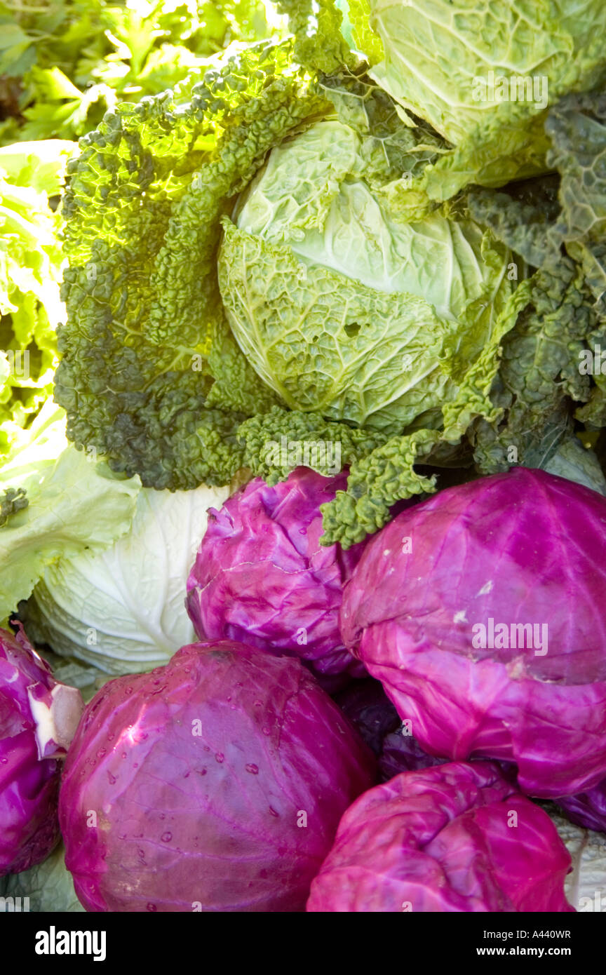 Frisches Gemüse für den Verkauf auf Feira De Barcelos in Minho. Portugal Stockfoto