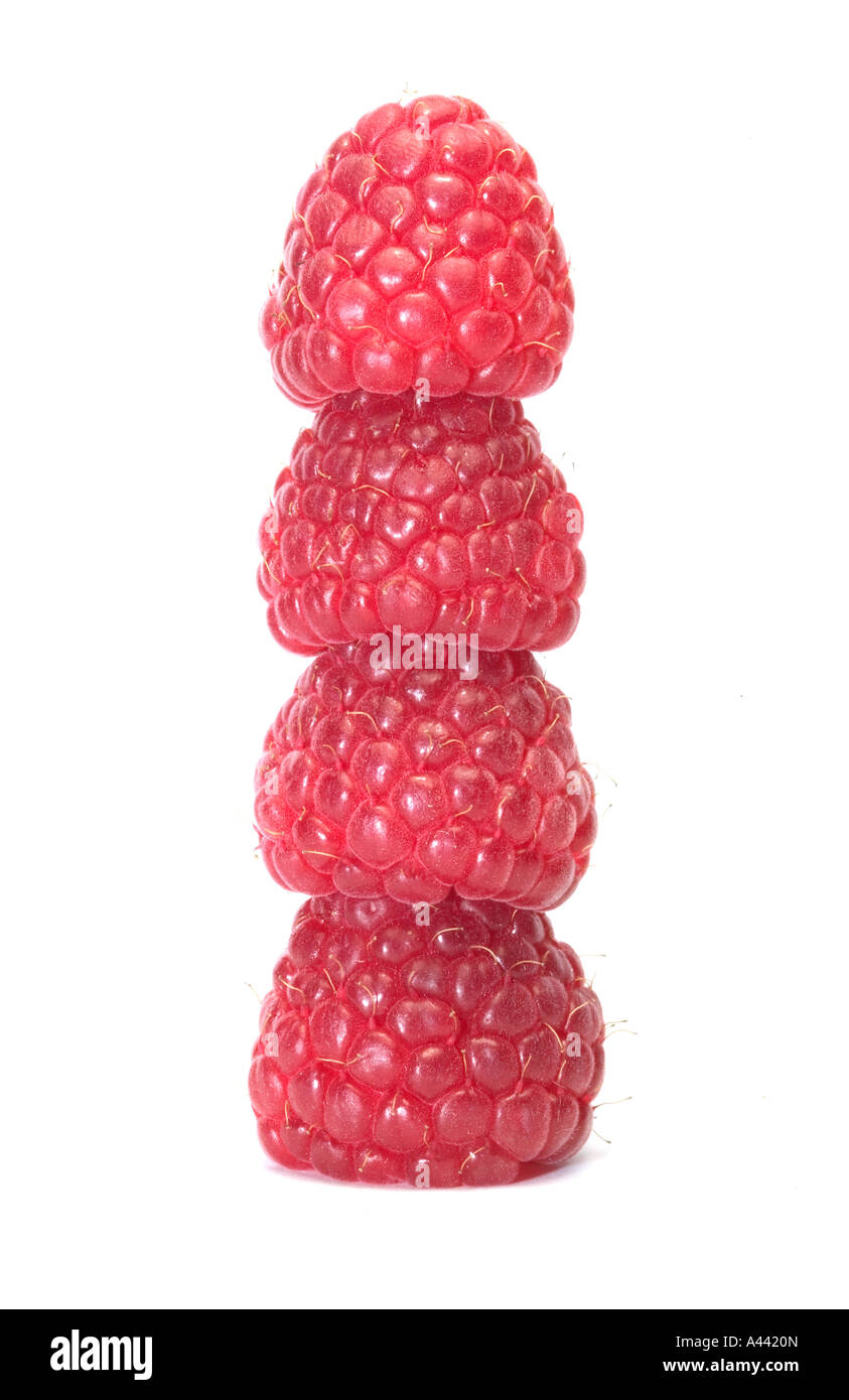 Vier übereinander isoliert auf weiss Himbeeren Stockfoto