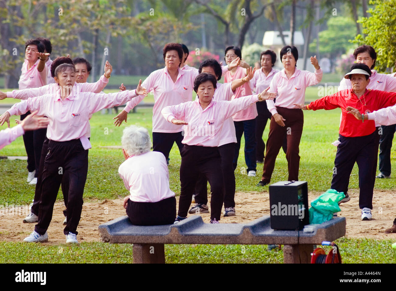 Tai Chi für Thai Senioren Morgen trainieren Sie im Lumpini-Park, Bangkok Stockfoto