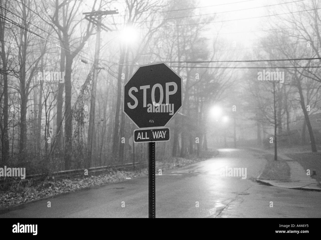 Stop-Schild entlang der nebligen ätherischen street Stockfoto